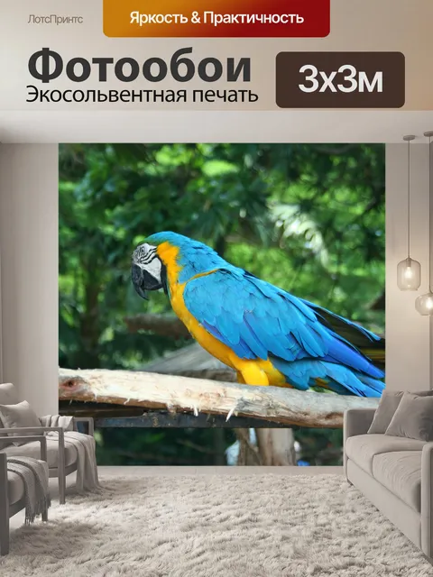 Фотообои синий и желтый ара попугай 2