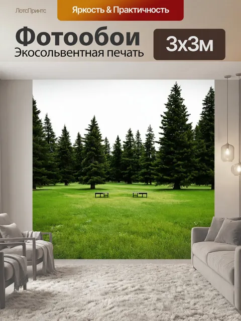 Фотообои поле, обрамленное высокими еловыми деревьями, в центре которого стоят парные скамейки, потеряны во времени