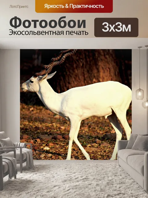 Фотообои Белый олень