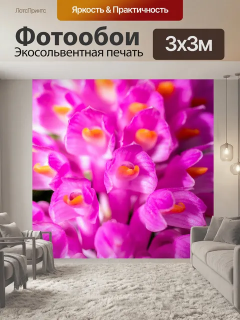Фотообои Цветок орхидеи