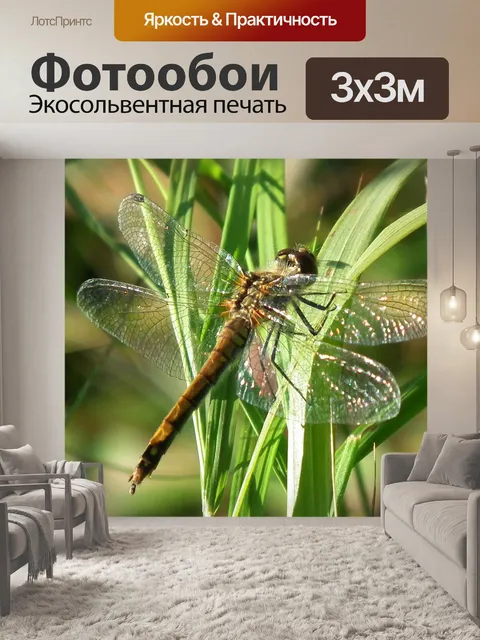 Фотообои Стрекоза