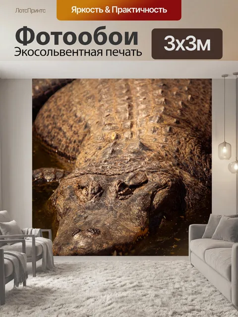 Фотообои крокодил