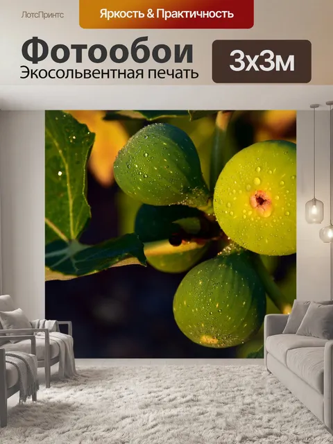 Фотообои Инжир