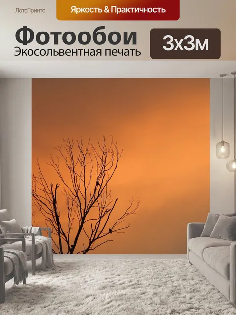 Фотообои Заход солнца