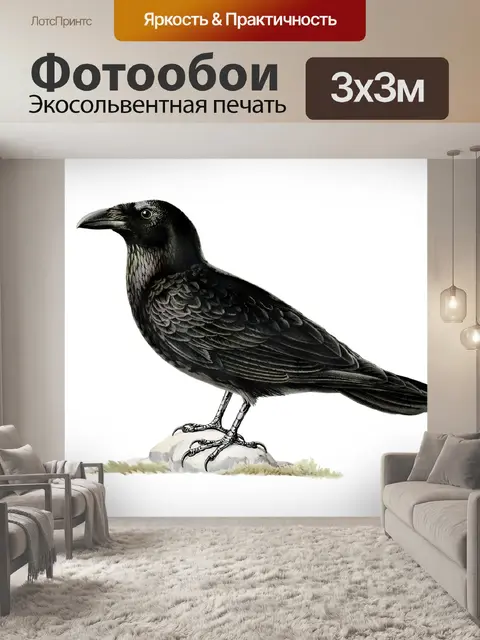Фотообои Ворон Ворона Птица Клипарт