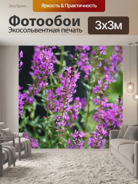 Фотообои Цветы