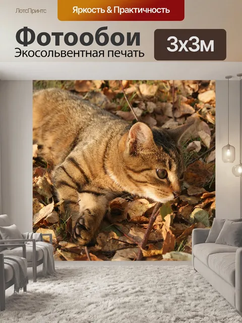 Фотообои Кошка