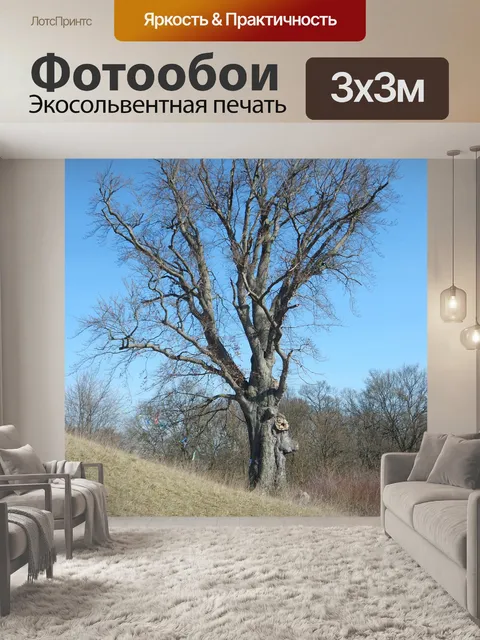 Фотообои Дерево