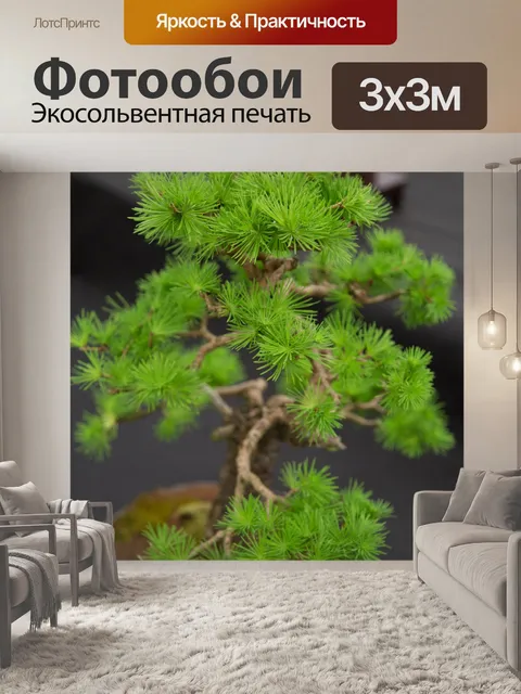 Фотообои Миниатюрный японский бонсай дерево