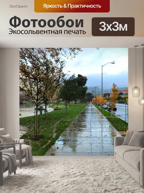 Фотообои Дождливая тротуаре 6049