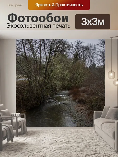 Фотообои ручей