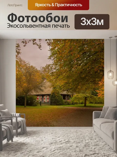 Фотообои Лес