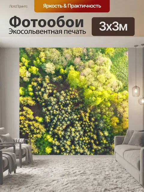 Фотообои Вид с воздуха на вершинах деревьев