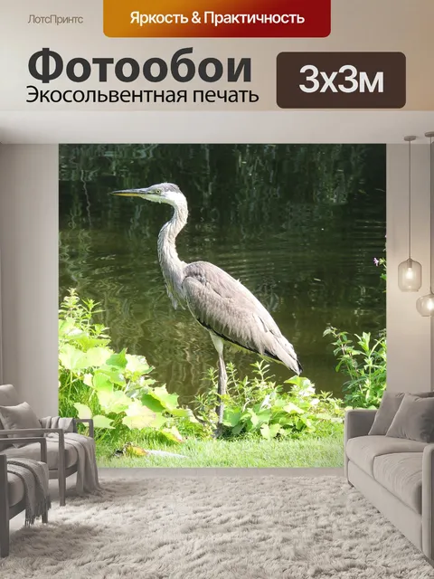 Фотообои Цапля