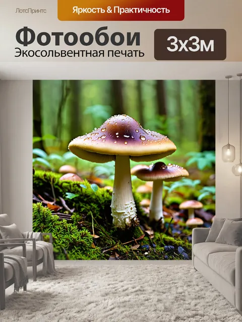 Фотообои грибы экзотические, выглядящие как драгоценные камни, растущие на лесной поляне, с каплями росы на их шляпках