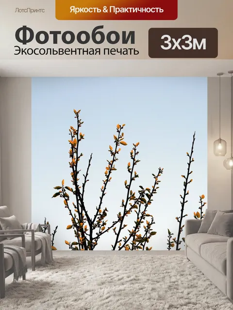 Фотообои яркие новые листья на фоне неба