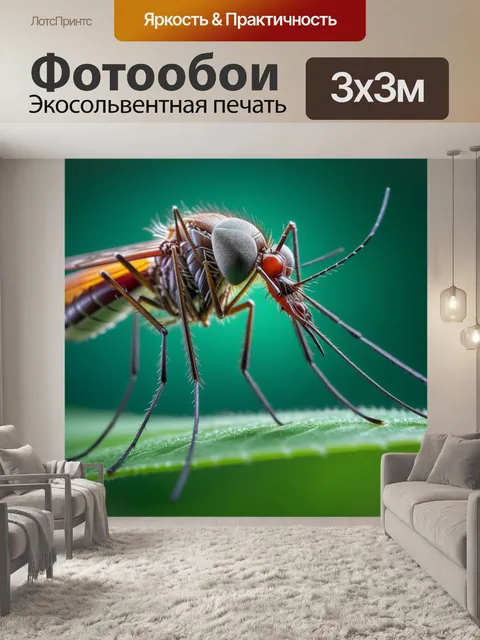 Фотообои макрофотография комара на листе