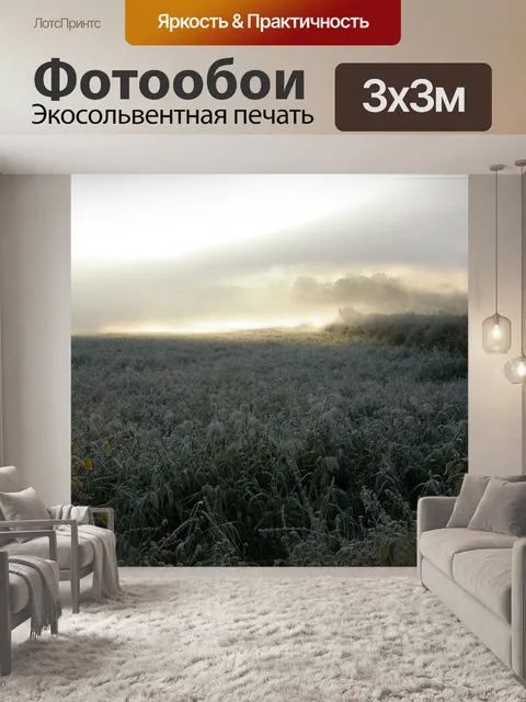 Фотообои Утренний туман