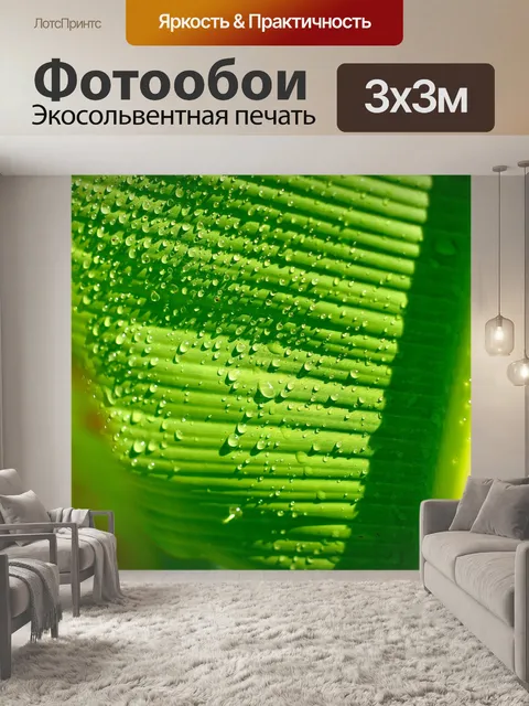 Фотообои Лист бананового дерева