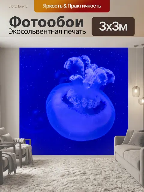 Фотообои Голубая медуза