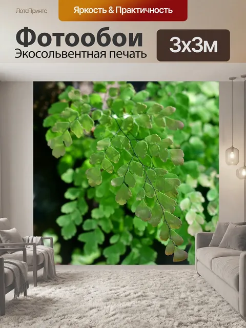 Фотообои Листья папоротника
