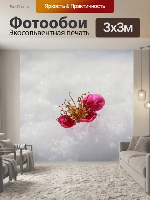 Фотообои День святого валентина