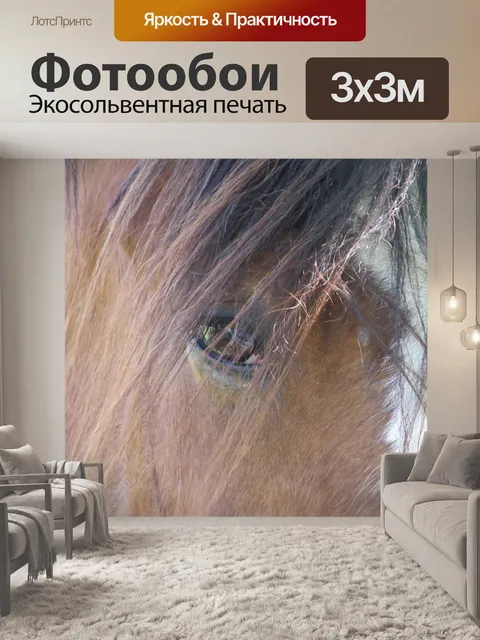 Фотообои Конский глаз