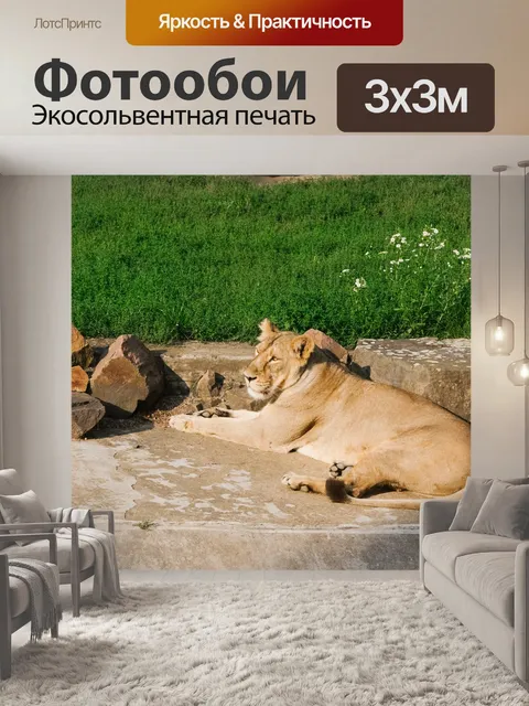 Фотообои Львица