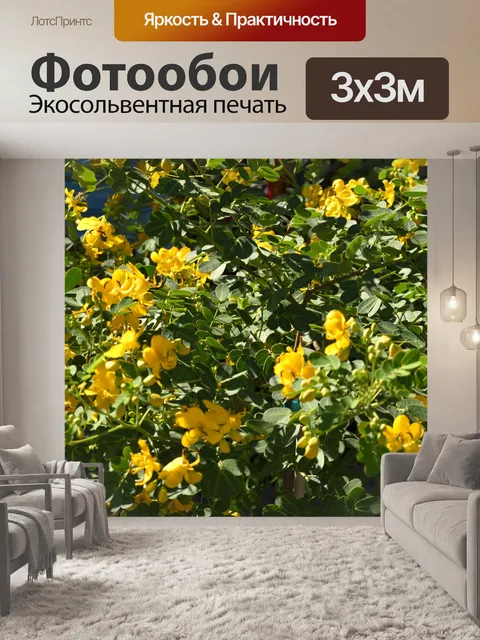 Фотообои Яркие желтые цветы