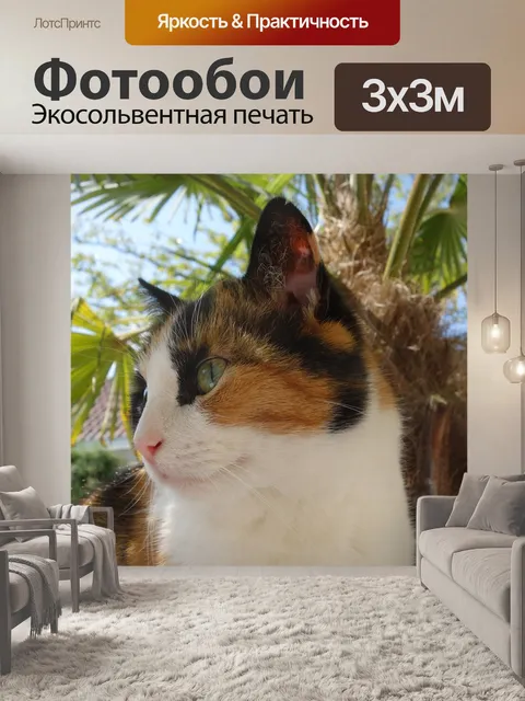Фотообои Кошка