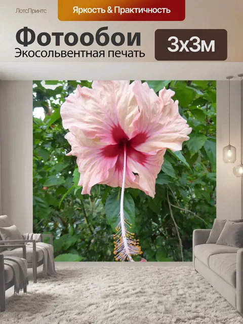Фотообои Цветок