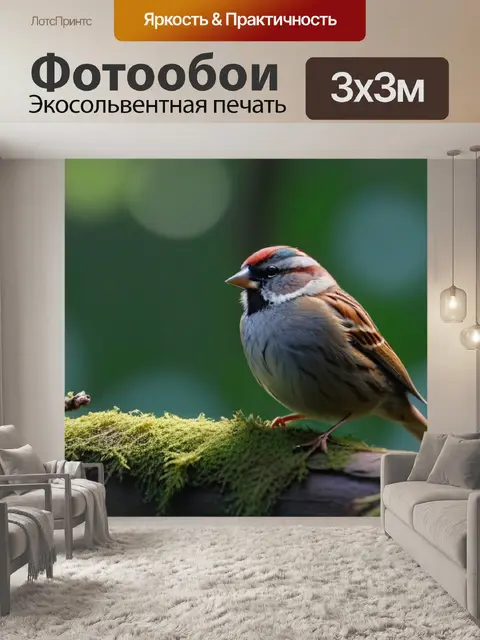 Фотообои утро в лесу, воробьи поют