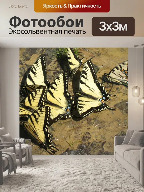 Фотообои Бабочка