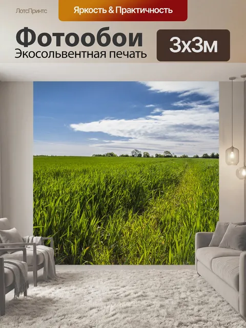 Фотообои Зеленая трава