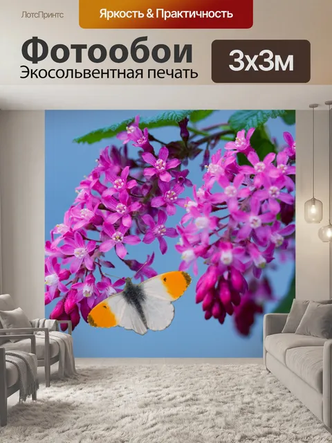 Фотообои Butterfly Blossom розовый цвета