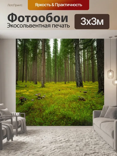Фотообои сосновый лес с высокими деревьями и светлыми полянами, уставленными грибами и цветами