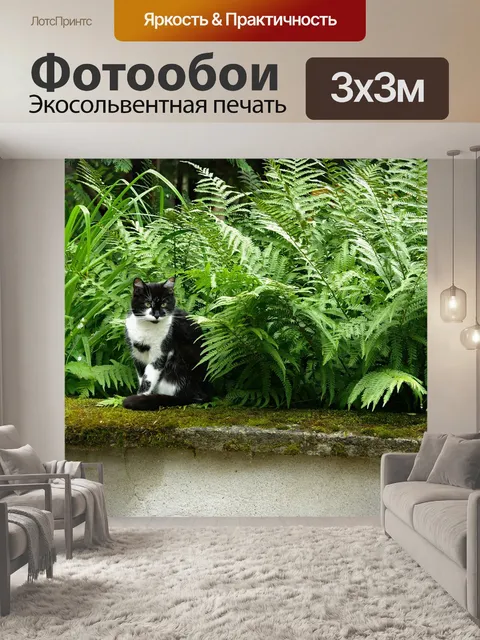 Фотообои Кошка