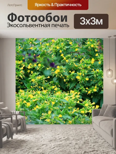Фотообои желтые полевые цветы