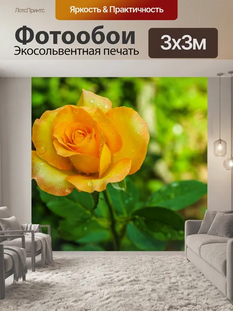 Фотообои Роза в саду