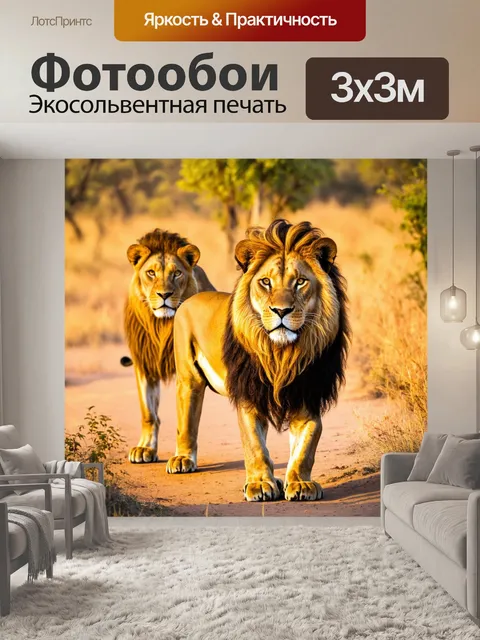 Фотообои с львами, которые стоят на страже своей территории, с видимыми мускулами и величественными гривами, в свете…