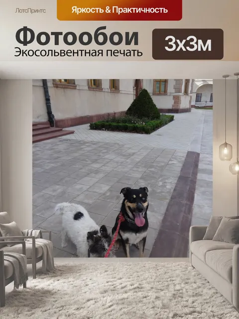 Фотообои Радостная собака