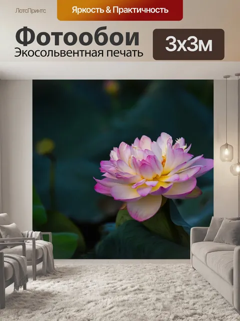 Фотообои Золотой лотос розовый границы