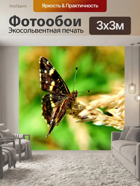 Фотообои Бабочка