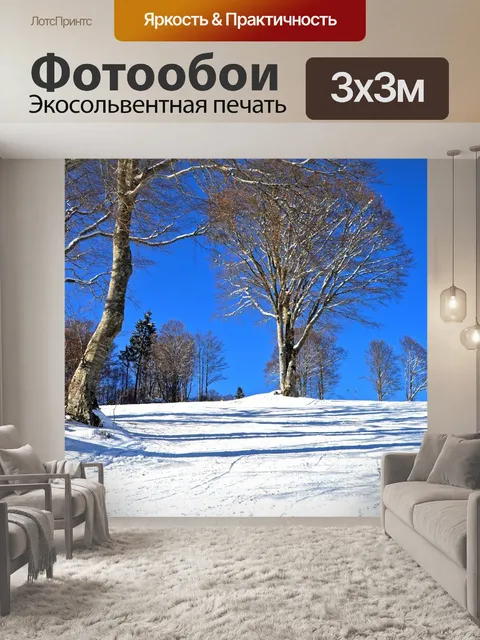 Фотообои Черный лес