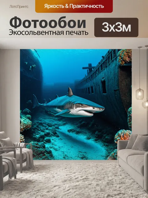 Фотообои акула, исследующая затонувший корабль