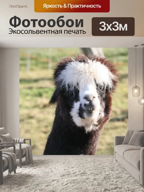 Фотообои Альпака