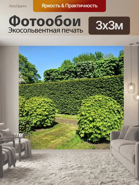 Фотообои Стриженая изгородь