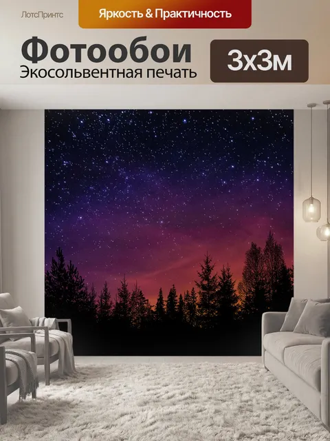 Фотообои Фотография небо деревья природа