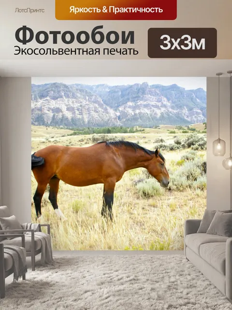 Фотообои Лошадь пасется в пустыне
