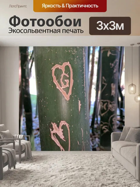 Фотообои Резные бамбуковые стрельбы
